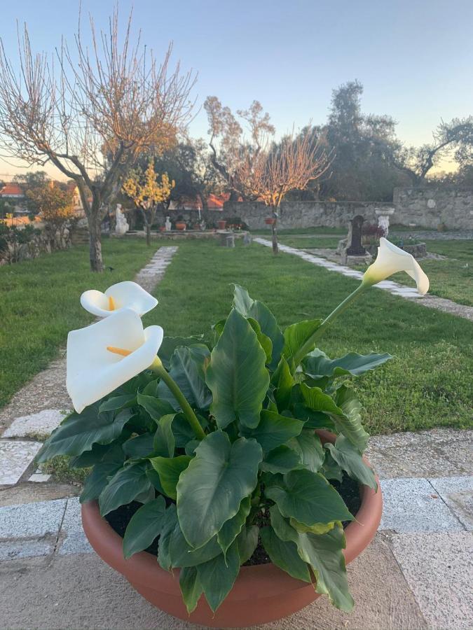 Villa Entre Encinas Moralina Екстериор снимка
